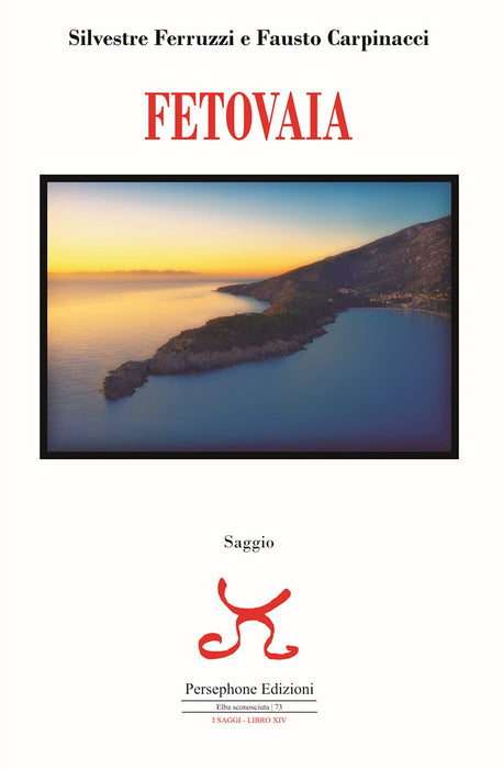 https://m.media-amazon.com/images/I/51xVtkZ0I+L.jpg