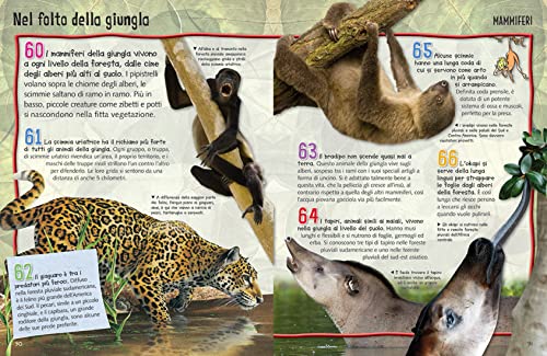 https://m.media-amazon.com/images/I/51xh8TKKodL.jpg