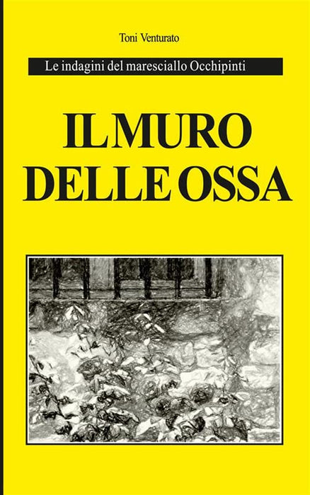https://m.media-amazon.com/images/I/51zEM3BXAML.jpg