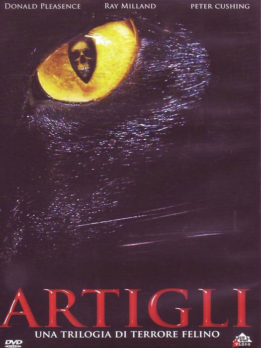 https://m.media-amazon.com/images/I/61-mFj4EvIL.jpg