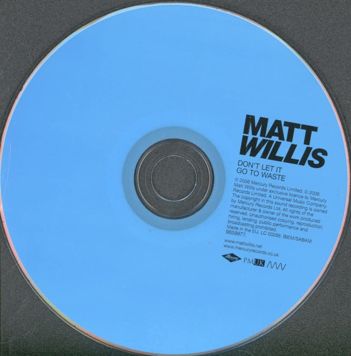 Matt Willis - Don'T Let It Go To Waste;