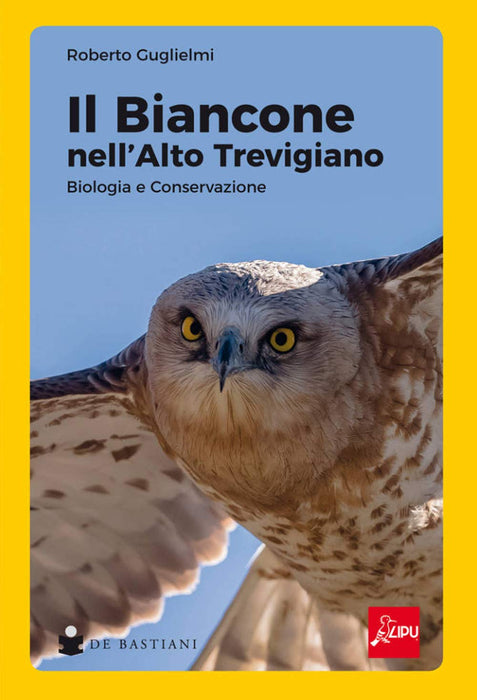 https://m.media-amazon.com/images/I/611DszokGzL.jpg