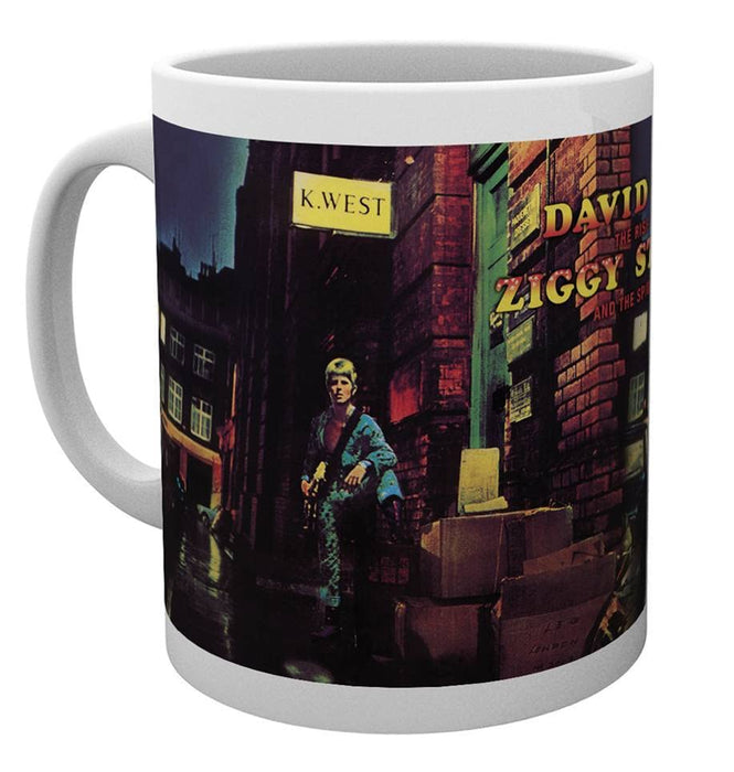 https://m.media-amazon.com/images/I/612UNQp6akL.jpg