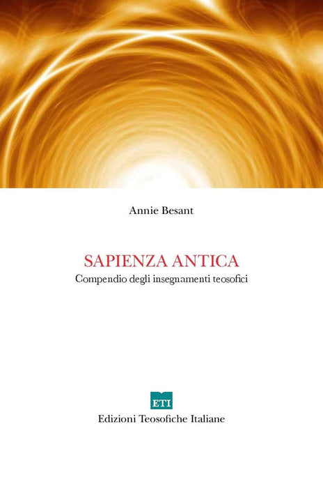 https://m.media-amazon.com/images/I/612ZcXyZeuL.jpg