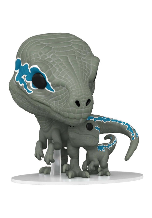 https://m.media-amazon.com/images/I/612k0TrX2vL.jpg