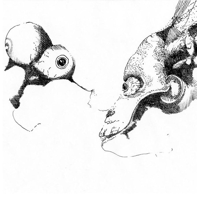 https://m.media-amazon.com/images/I/615BdsJGYIL.jpg