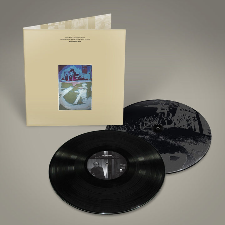 David Pritchard - Nocturnal Earthworm Stew (2 Lp);