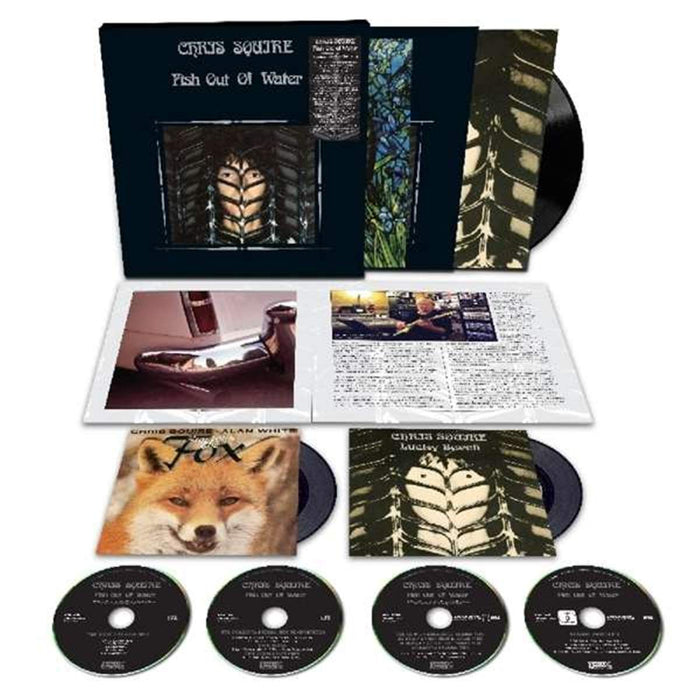 https://m.media-amazon.com/images/I/616ZQ3V58zL.jpg