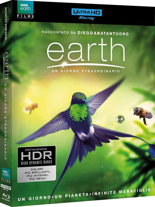https://m.media-amazon.com/images/I/619viqJZE5L.jpg