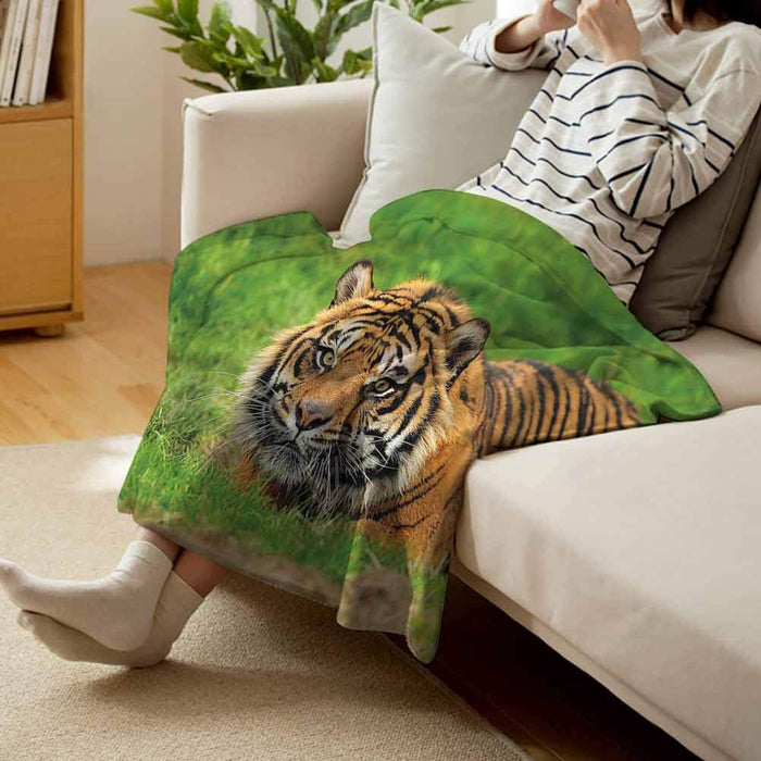 https://m.media-amazon.com/images/I/61AFjK6EW+L.jpg