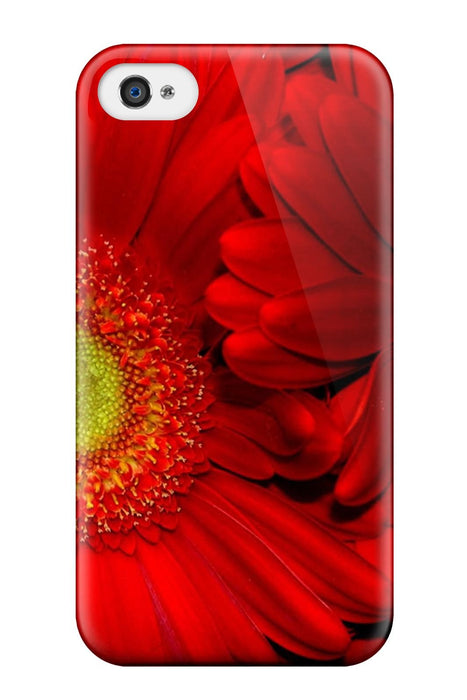 https://m.media-amazon.com/images/I/61AMnwvdO0L.jpg