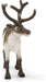 https://m.media-amazon.com/images/I/61BOP3dmfvL.jpg