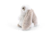 https://m.media-amazon.com/images/I/61BXT90TawL.jpg
