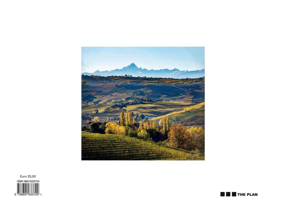 https://m.media-amazon.com/images/I/61ClGyh04qL.jpg