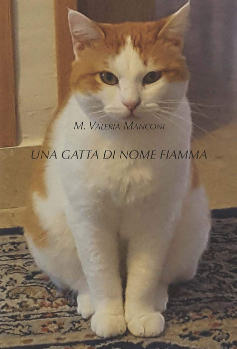 https://m.media-amazon.com/images/I/61Dq3TCcGtL.jpg