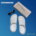 https://m.media-amazon.com/images/I/61Dw9IUKeAL.jpg