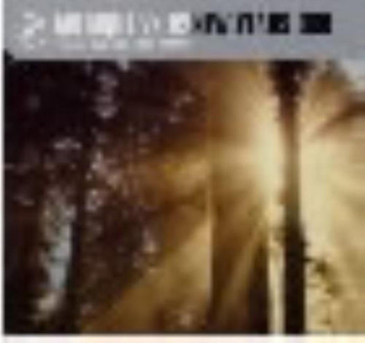 Musique Vs U2 - New Years Dub;
