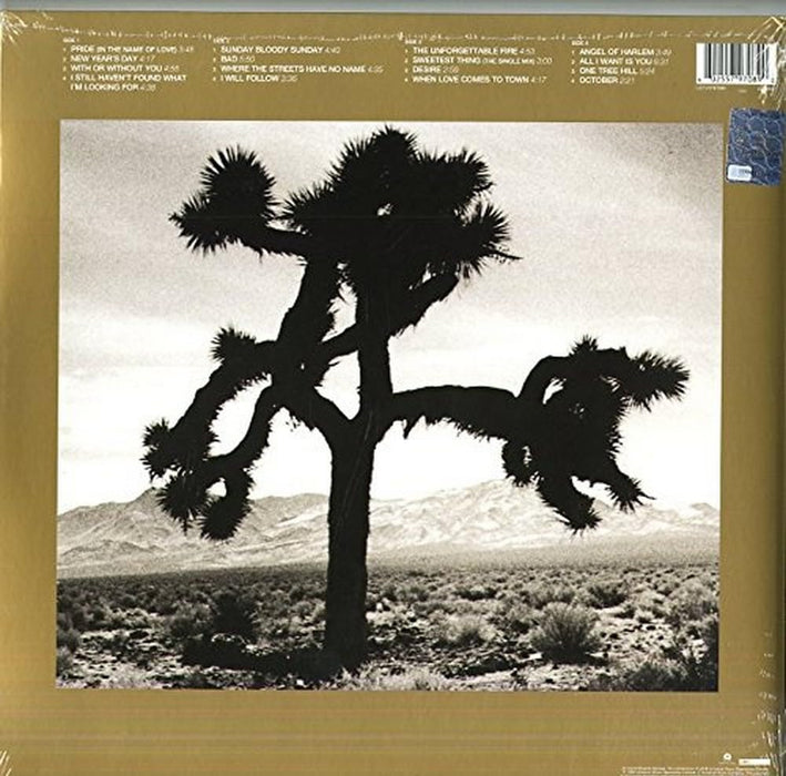 U2 - The Best Of 1980-1990 (2 Lp);