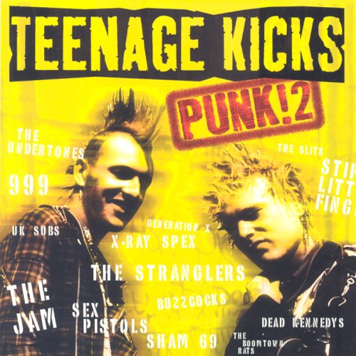 Teenage Kicks Punk! 2 / Various;