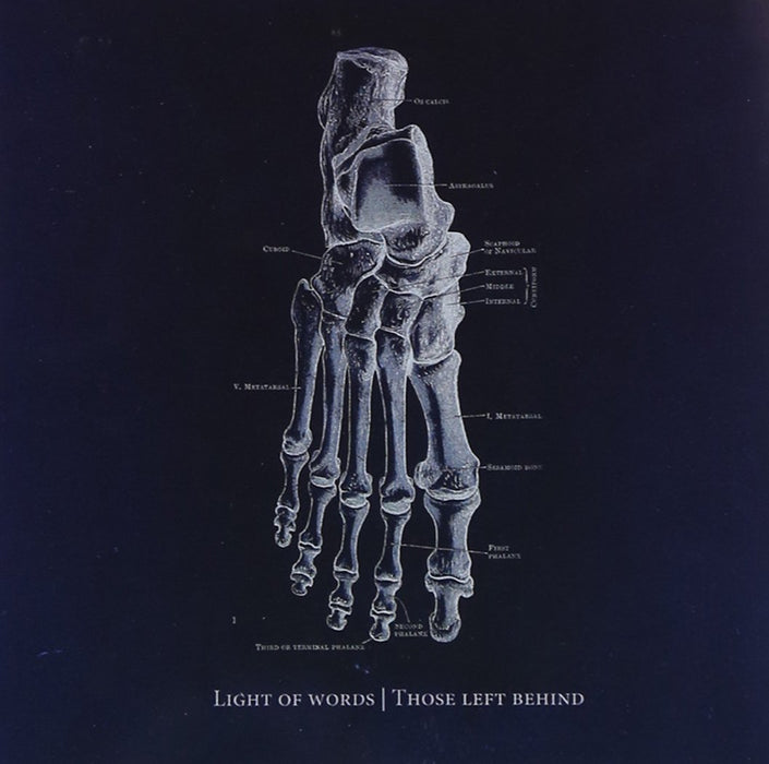 Light Of Words - Those Left Behind;
