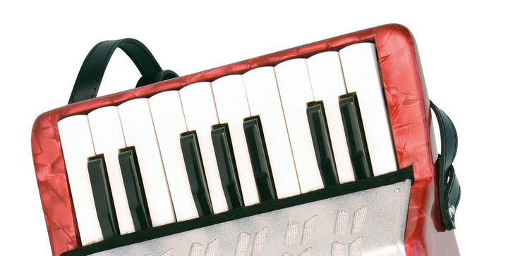 Bontempi 33 1730 - Fisarmonica A 17 Tasti Con Diesis E 8 Bassi;