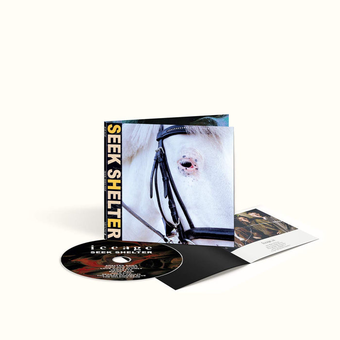 Iceage - Seek Shelter;