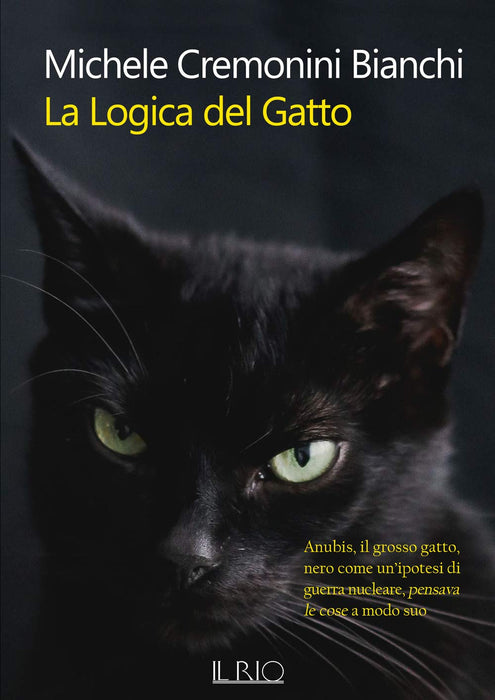 https://m.media-amazon.com/images/I/61KeCIcEt7L.jpg