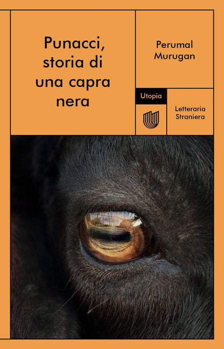 https://m.media-amazon.com/images/I/61KqIIFNMgL.jpg