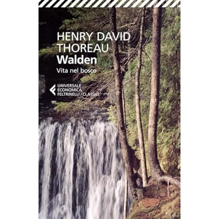 https://m.media-amazon.com/images/I/61L9ruVoTKL.jpg