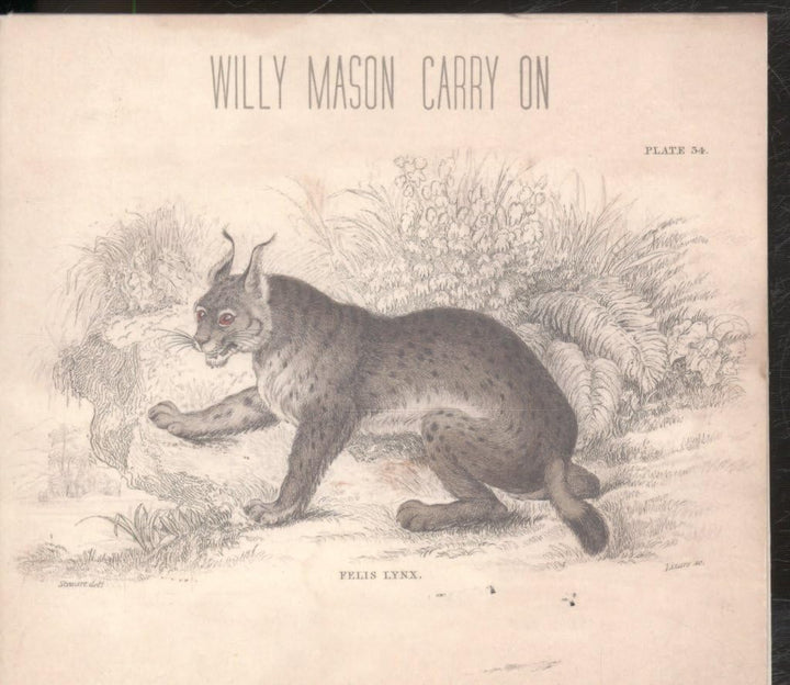 Willy Mason - Carry On;