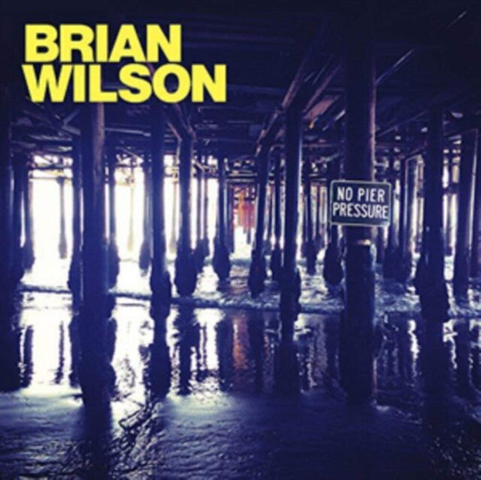 Brian Wilson - No Pier Pressure;