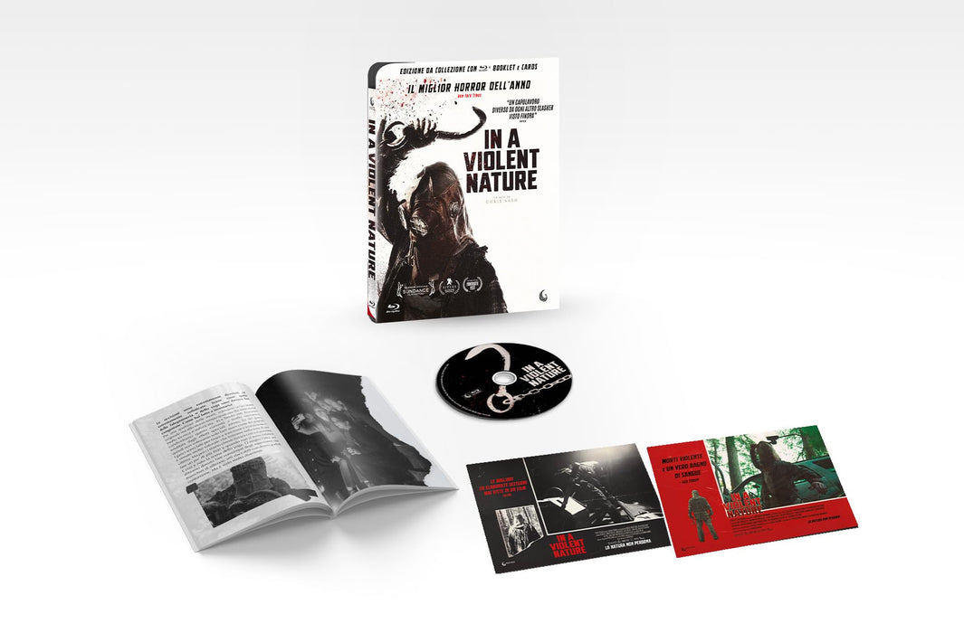 https://m.media-amazon.com/images/I/61OP+BiGtfL.jpg