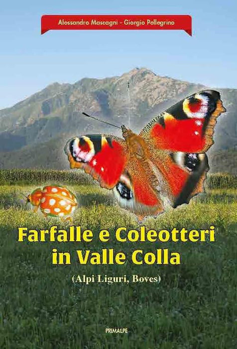 https://m.media-amazon.com/images/I/61OrIrkvZqL.jpg