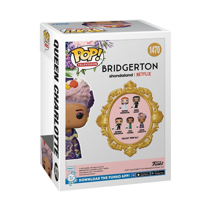 https://m.media-amazon.com/images/I/61QeqZ2bM-L.jpg