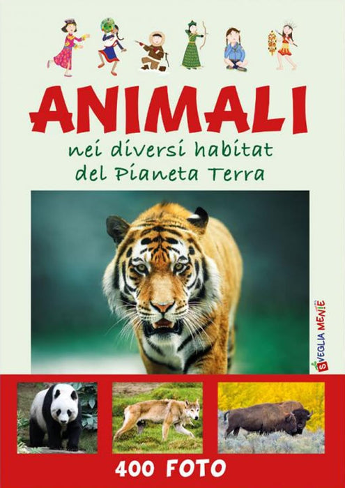 https://m.media-amazon.com/images/I/61RDdNylJ5L.jpg