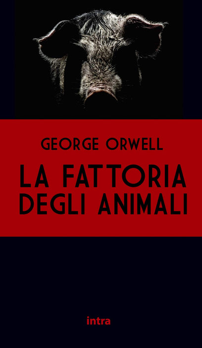 https://m.media-amazon.com/images/I/61RGKs6CzCL.jpg