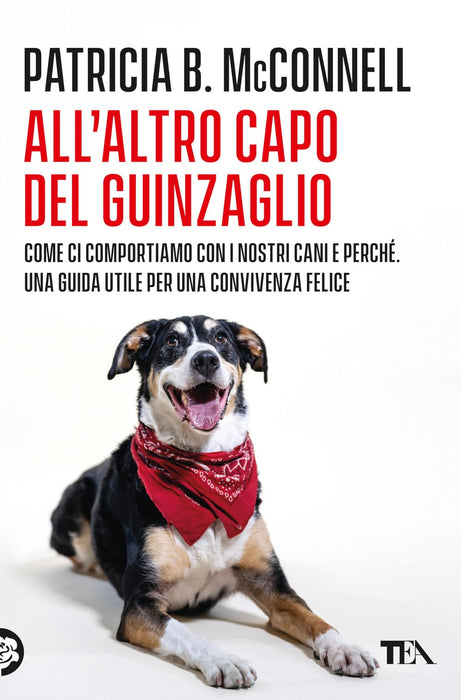 https://m.media-amazon.com/images/I/61SfST4geQL.jpg