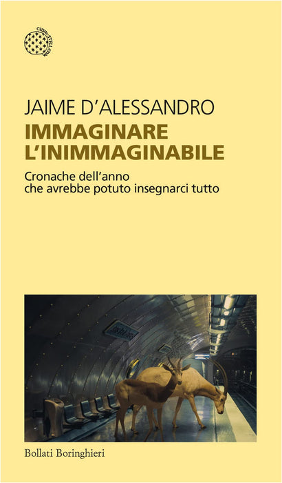 https://m.media-amazon.com/images/I/61T3xjodIiL.jpg