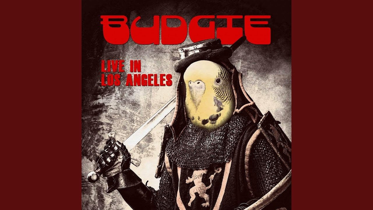 https://m.media-amazon.com/images/I/61VHNpyAceL.jpg