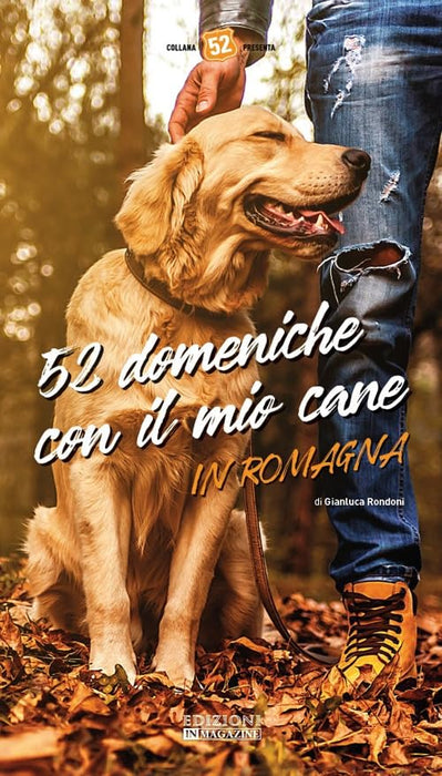 https://m.media-amazon.com/images/I/61WPCR-NIfL.jpg