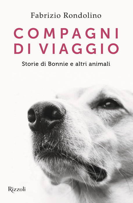 https://m.media-amazon.com/images/I/61XQSpfB6zL.jpg