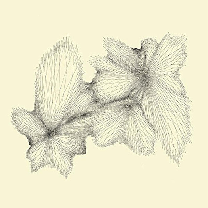 Eyvind Kang - Plainlight;