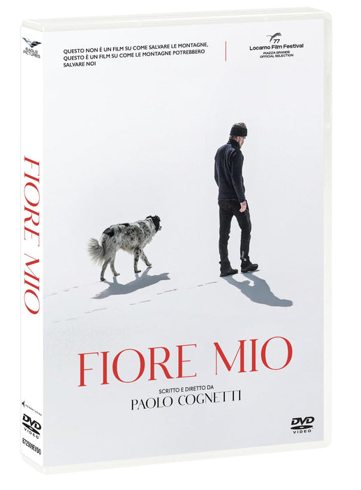 https://m.media-amazon.com/images/I/61XojtdQSHL.jpg