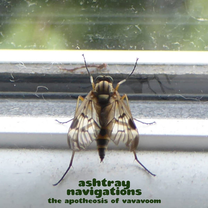 Ashtray Navigations - The Apotheosis Of Vavavoom (Green Vinyl);