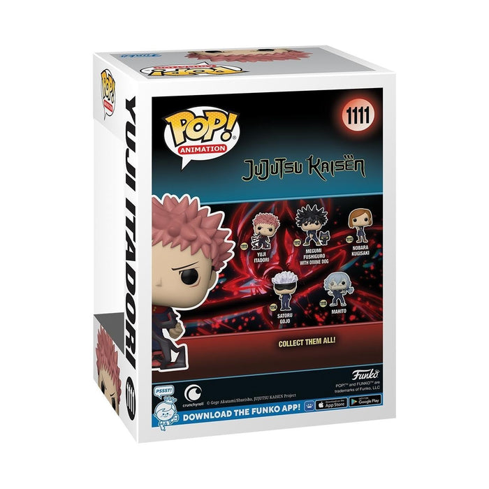 https://m.media-amazon.com/images/I/61ZbrCIY01L.jpg