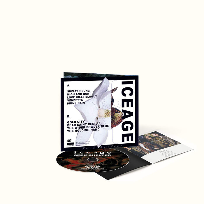 Iceage - Seek Shelter;