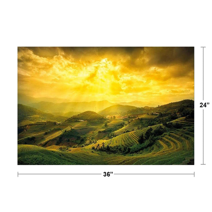 https://m.media-amazon.com/images/I/61aHuR8ZAgL.jpg