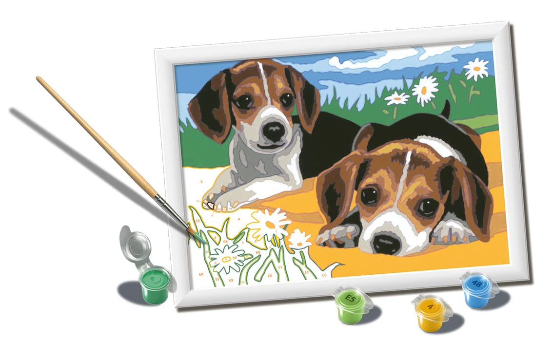 https://m.media-amazon.com/images/I/61be6p0cizL.jpg