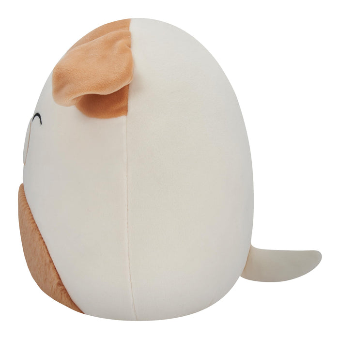 https://m.media-amazon.com/images/I/61bjo+ztqeL.jpg