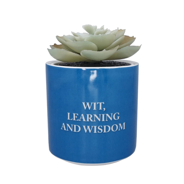 https://m.media-amazon.com/images/I/61dMmmQODfL.jpg